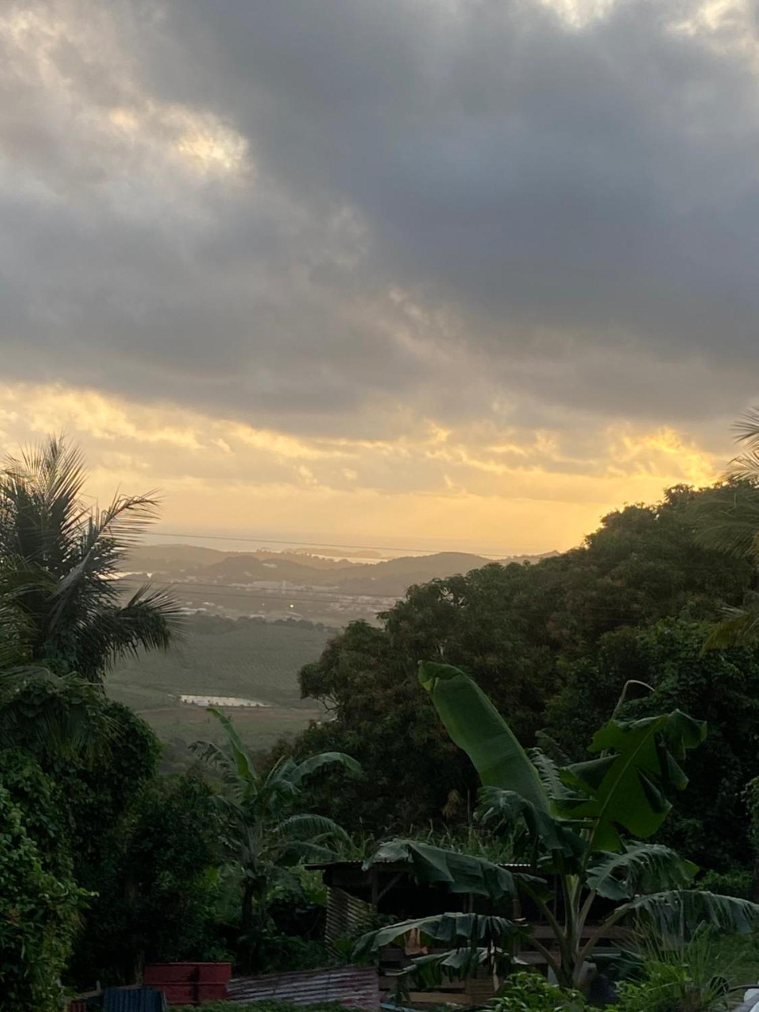 Vue Mer Le François Extérieur photo
